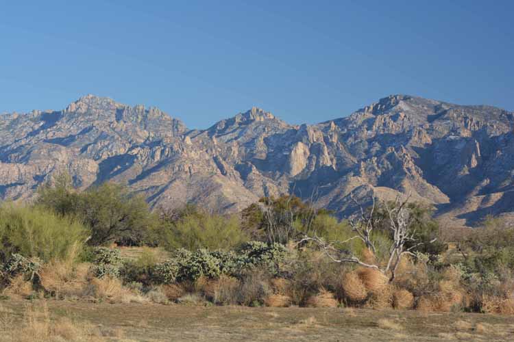 nature preserve